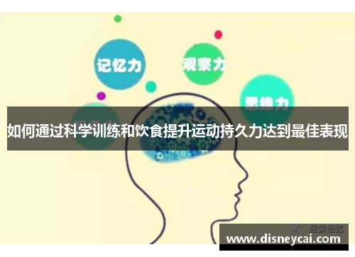 如何通过科学训练和饮食提升运动持久力达到最佳表现